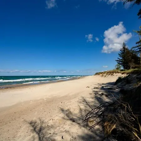 Flieder Graal-Mueritz