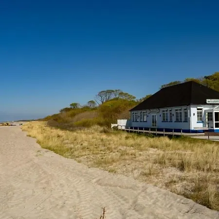 Flieder * Graal-Mueritz