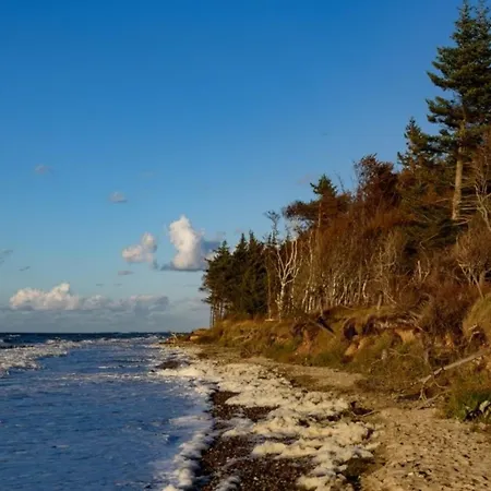 Flieder Graal-Mueritz